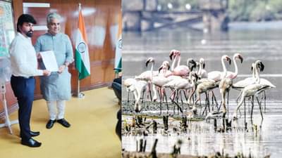 ठाण्यातील फ्लेमिंगो अभयारण्याची नवी अधिसूचना लवकरच; मुंबई, ठाणे, नवी मुंबईतील विकास कामांचा मार्ग होणार मोकळा!