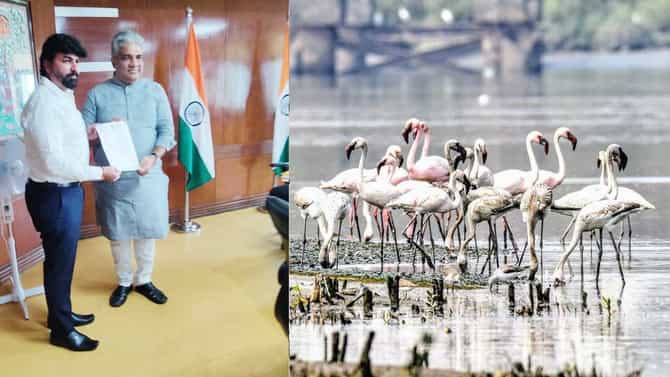ठाण्यातील फ्लेमिंगो अभयारण्याची नवी अधिसूचना लवकरच; मुंबई, ठाणे, नवी मुंबईतील विकास कामांचा मार्ग होणार मोकळा!