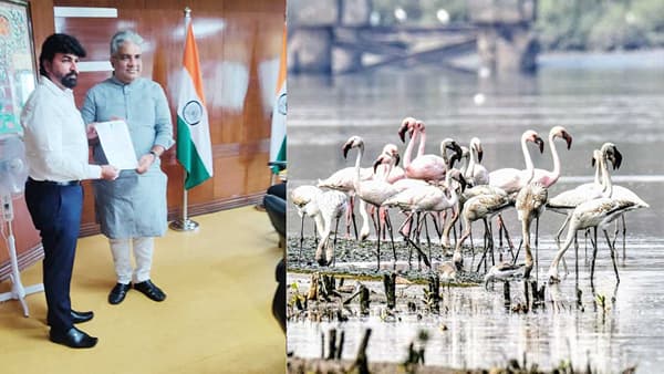 ठाण्यातील फ्लेमिंगो अभयारण्याची नवी अधिसूचना लवकरच; मुंबई, ठाणे, नवी मुंबईतील विकास कामांचा मार्ग होणार मोकळा!