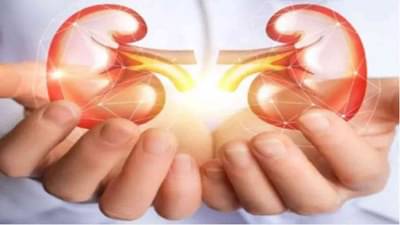 Health Tips : या 5 सवयी किडनीसाठी हानिकारक, वाचा याबद्दल सविस्तर!