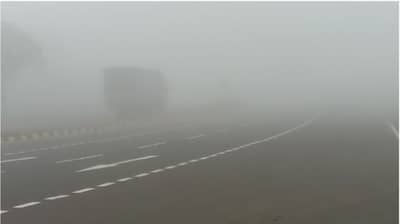 Weather: धुक्यात हरवले औरंगाबाद, थंडीचे संकेत, येत्या दोन दिवसात राज्यातून परतीच्या पावसाची एक्झिट!