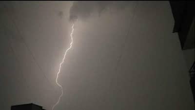 नैसर्गिक आपत्तीमुळे जनावराचा मृत्यू ; नुकसानभरपाईसाठी असा करा अर्ज...