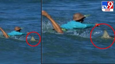 Video: सर्फिंग करण्यासाठी समुद्रात गेला, आणि शार्कने त्याला वेढलं, व्हिडीओ पाहुन नेटकरी हादरले!