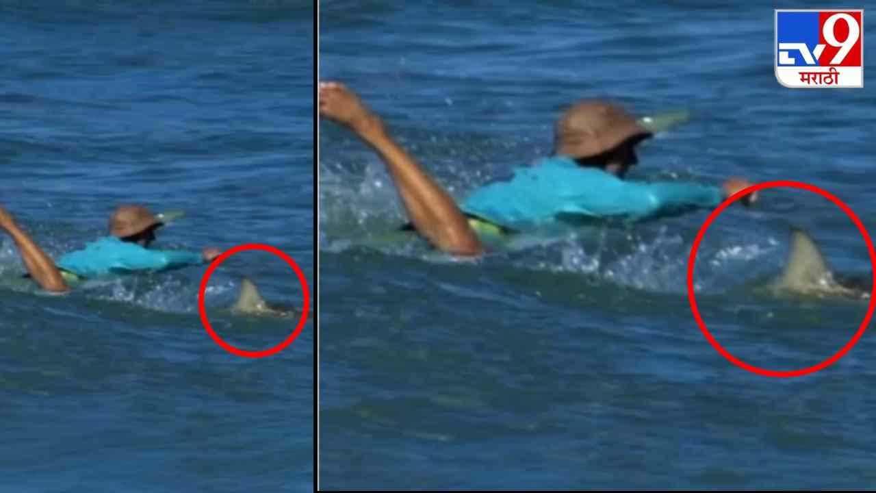 Video: सर्फिंग करण्यासाठी समुद्रात गेला, आणि शार्कने त्याला वेढलं, व्हिडीओ पाहुन नेटकरी हादरले!