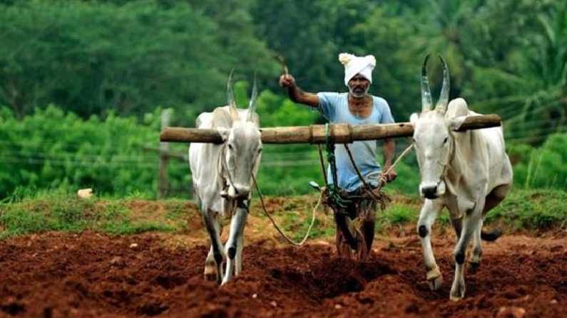 रब्बीची पेरणी लांबणीवर ; शेतकऱ्यांनो अशी काळजी अन्यथा उत्पादनात होणार घट