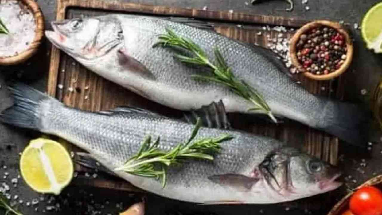 मासे - मासे त्याच्या पौष्टिक आणि अनेक आरोग्य फायद्यांसाठी ओळखले जातात. ट्यूना, सॅल्मन आणि इतर सीफूडमध्ये व्हिटॅमिन बी 12 असते. सॅल्मन हा प्रथिनांचा चांगला स्रोत आहे.