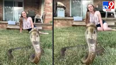 Video: मुलीसमोर कोब्रा, तरी कॅमेऱ्याला पोझ देत फोटोग्राफी, पाहा सोशल मीडियावर व्हायरल होणारा व्हिडीओ