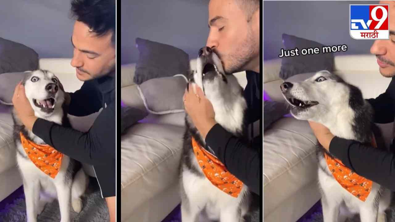 Video: मालक आणि कुत्र्याच्या नात्यातला गोंडस व्हिडीओ, नेटकरी म्हणाले, आम्हालाही मिकाला किस करायचं आहे!