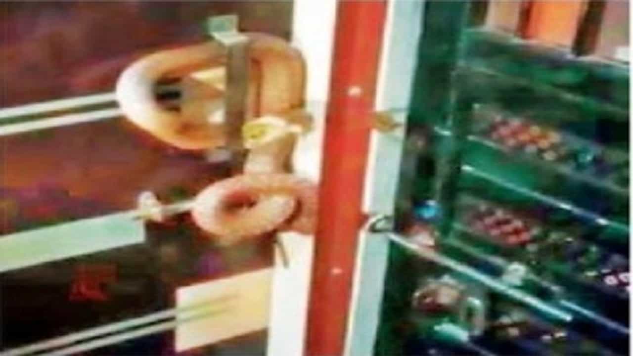 अपार्टमेंटमध्ये नागोबा डोलाया लागला, हजार रुपयांसाठी कोब्रा अडकावला दारावर; नाशिकमध्ये सर्पमित्राची नसती उठाठेव