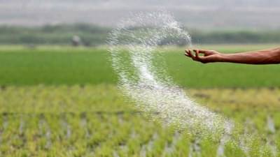 रब्बी हंगामाच्या तोंडावर खतांची कृत्रिम टंचाई ; शेतकऱ्यांच्या समस्या कायम