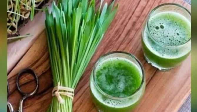 नवरात्रीत पेरलेली ज्वारीची बियाणे आरोग्यासाठी किती फायदेशीर?; वाचाल तर तुम्हीही थक्क व्हाल!
