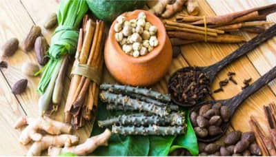 Health Tips : या 5 आयुर्वेदिक औषधी वनस्पती आरोग्यासाठी अत्यंत फायदेशीर!