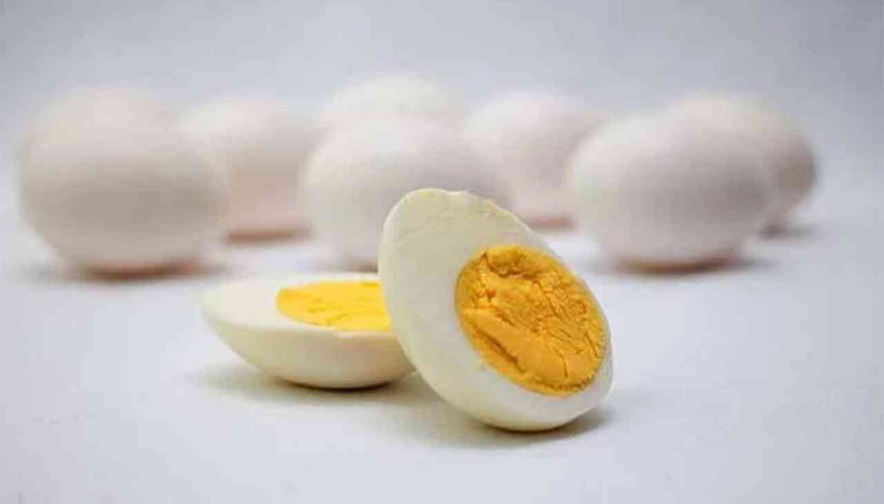 अंड्यांमध्ये मुबलक प्रमाणत ‘व्हिटामिन डी’ आढळते. जे तुमच्या हाडांना बळकटी देण्यास फायदेशीर आहे. अंडी सर्वोत्तम आणि आरोग्यासाठी उपयुक्त पदार्थांपैकी एक मानली जातात. 