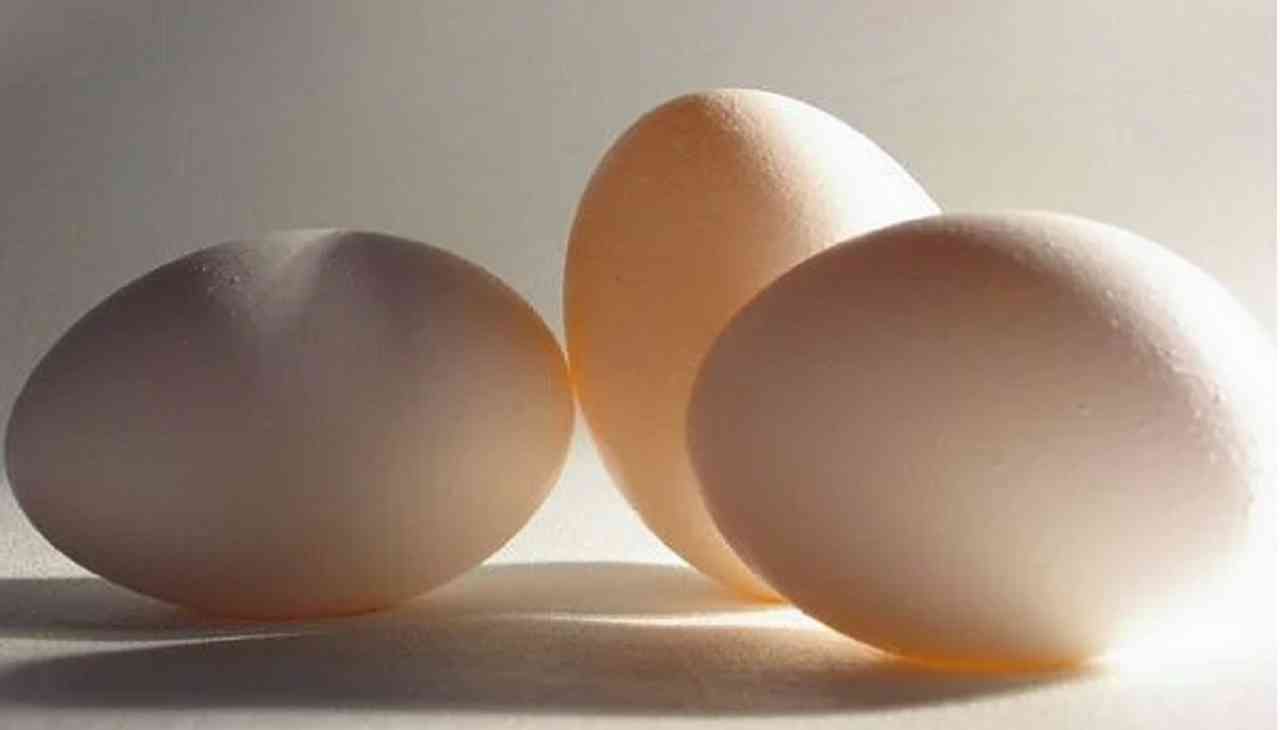 तज्ज्ञांचे म्हणणे आहे की, अंडे निरोगी एलडीएल ब्लड कोलेस्ट्रॉलच्या तुलनेत संतृप्त अन्न म्हणून शरीराचे पोषण करते. अंड्यातील पिवळ्या बलकाचा उष्मांक 55 आहे. अंड्यात ट्रिप्टोफेन आणि टायरोसिन हे घटक असतात.