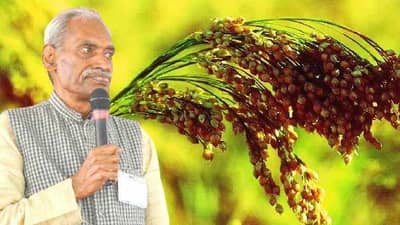 झिरो बजेट शेती ही महाराष्ट्रातील संकल्पना, आता पुन्हा नैसर्गिक शेतीची गरज