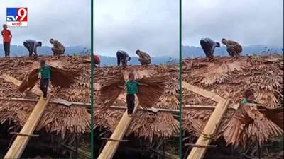 Video: पाठीवर झाडाची पानं बांधली, आणि उंच झेप घेतली, चिमुरड्याचा व्हिडीओ सोशल मीडियावर व्हायरल