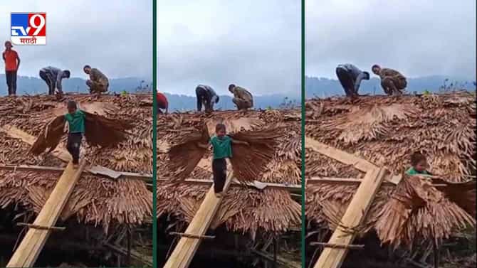 Video: पाठीवर झाडाची पानं बांधली, आणि उंच झेप घेतली, चिमुरड्याचा व्हिडीओ सोशल मीडियावर व्हायरल