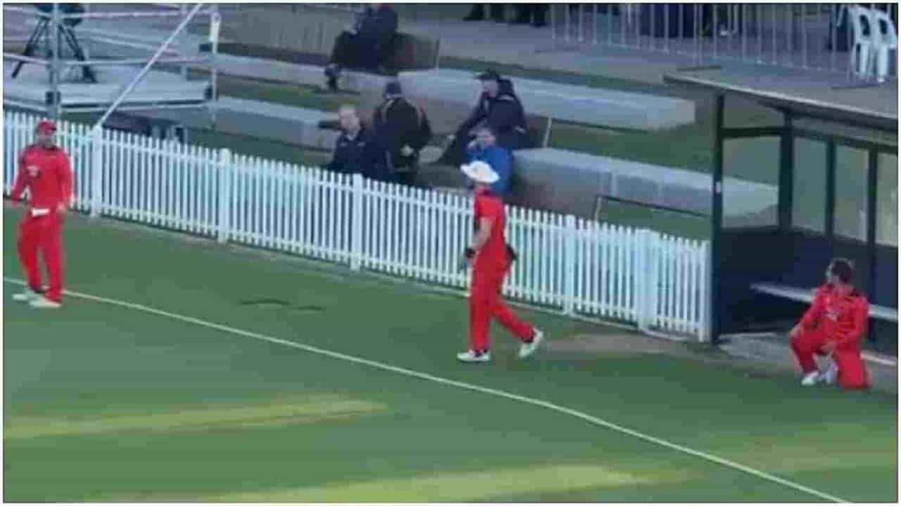 1 झेल 3 खेळाडू तरीही अपयश, LIVE सामन्यातील हा VIDEO पाहाच!