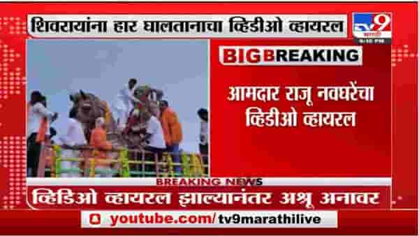 Breaking | राजू नवघरेंचा घोड्यावर चढून छ. शिवाजी महाराजांच्या पुतळ्याला हार घालताना व्हडिओ व्हायरल