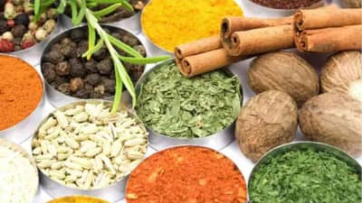 Health Tips : या 5 आयुर्वेदिक औषधी वनस्पती पचनसंस्था निरोगी ठेवण्यास मदत करतात!