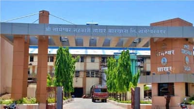 जो पत्ता करतो गुल, पॉवरफुल्ल... यंदा गुलाल आमचाच, सोमेश्वर साखर कारखाना निवडणुकीत राष्ट्रवादीची विजयी घोडदौड