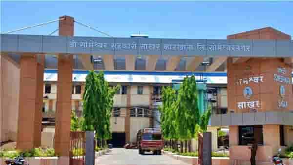 जो पत्ता करतो गुल, पॉवरफुल्ल... यंदा गुलाल आमचाच, सोमेश्वर साखर कारखाना निवडणुकीत राष्ट्रवादीची विजयी घोडदौड