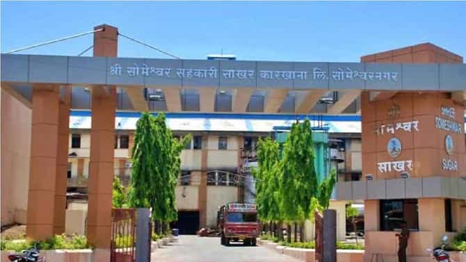 जो पत्ता करतो गुल, पॉवरफुल्ल... यंदा गुलाल आमचाच, सोमेश्वर साखर कारखाना निवडणुकीत राष्ट्रवादीची विजयी घोडदौड