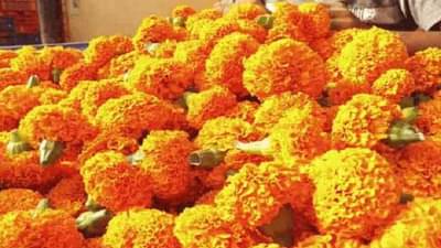 मंदिरे उघडली बाजार फुलला, दसऱ्याच्या निमित्ताने का होईना झेंडूला दर मिळाला