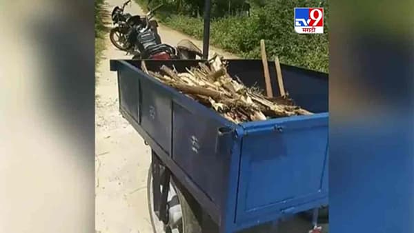 Video: ट्रॅक्टरची नाही तर बाईकची ट्रॉली, शेतकऱ्याने केलेल्या जुगाडाचा व्हिडीओ सोशल मीडियावर व्हायरल