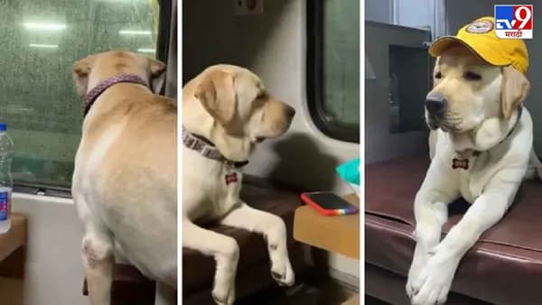 Video: ट्रेनने रिओचा मुंबई ते भुवनेश्वर प्रवास, व्हिडीओ पाहून नेटकरी म्हणाले, रिओचा थाटच न्यारा