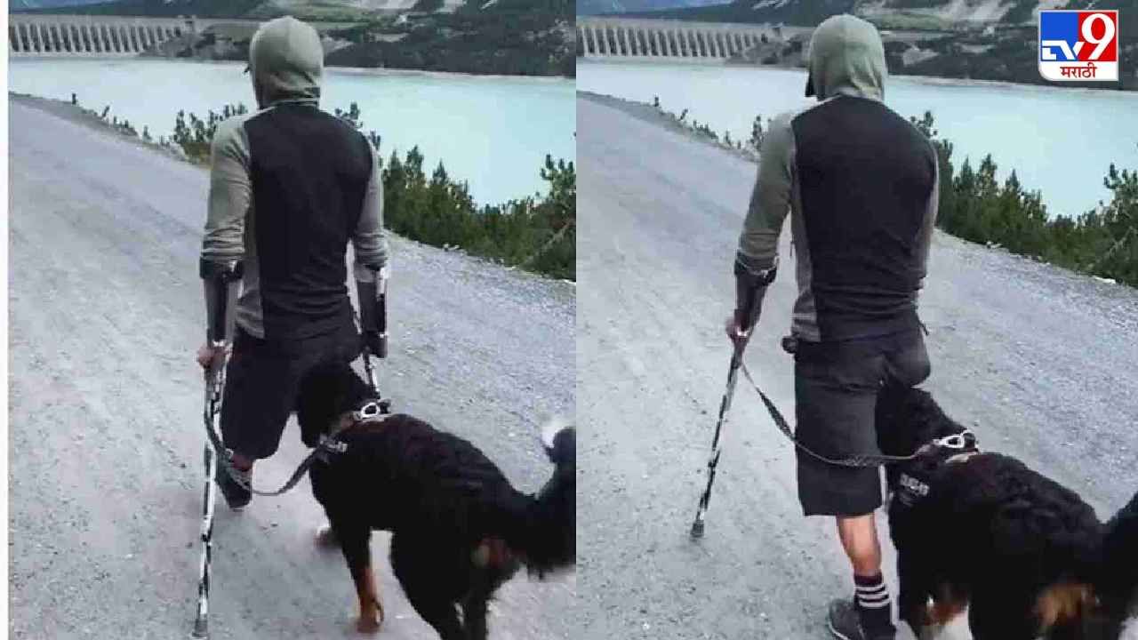 Video: अपंग मालकाचं कुत्रं एक पाय झालं, व्हिडीओ पाहा, कळेल, कुत्र्याला माणसाचा निष्ठावान मित्र का म्हणतात!