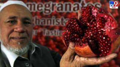 Know This: ज्यांनी जगाला वेड लावलं, ते हजारो टन अफगाणी डाळिंब पाकिस्तानच्या सीमेवर का सडत आहेत? वाचा सविस्तर