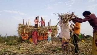 ‘अन्नत्याग’ नंतर आता लातूरात भाजपच्याच आमदाराची शेतकऱ्यांसाठी ‘पदयात्रा’