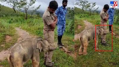 Video: हत्तीच्या पिल्लाची वनाधिकाऱ्याला मिठी, व्हिडीओनंतर आता फोटोही व्हायरल, नेटकरी फोटो पाहून भावनिक