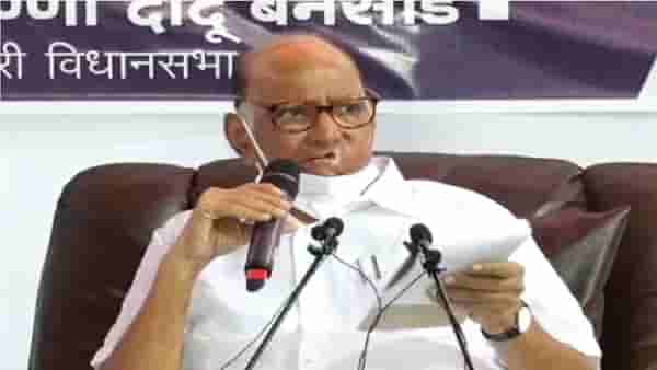 पालिका निवडणुकीच्या रणांगणात पवारांचा पहिला डाव, इथल्या लोकांनी 6 वेळा निवडून दिलं म्हणत भावनिक साद