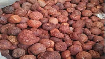 Health Care : अल्सरपासून ते त्वचेच्या समस्या दूर करण्यासाठी सुपारी अत्यंत फायदेशीर, वाचा सविस्तर!