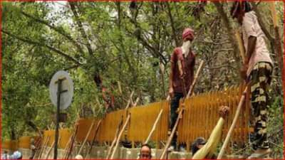 मोदी सरकारच्या e-Shram पोर्टलवर 4 कोटी कामगारांची नोंदणी; महिलांकडून प्रचंड प्रतिसाद