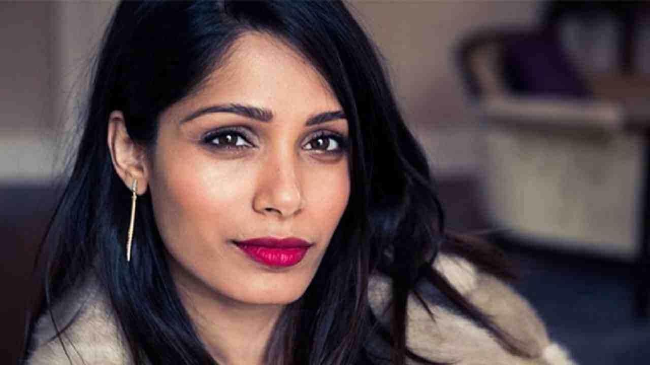 फ्रिडा स्लमडॉग मिलियनेयर पासून आंतरराष्ट्रीय स्टार बनली आहे. ती 'राइज ऑफ द प्लॅनेट ऑफ द एप्स', 'मायकल विंटरबॉटम', 'तृष्णा', 'डे ऑफ द फाल्कन', 'अमर' इत्यादी चित्रपटांमध्ये दिसली आहे.
