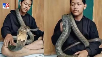Video: गळात किंग कोब्रा घेऊन सर्पमित्राचे स्टंट, लोक म्हणाले, बाबा जपून, सापाचा काही भरवसा नसतो!