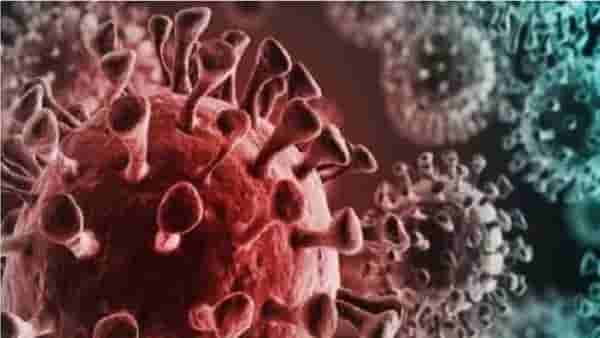 Omicron : कोरोनाच्या नव्या व्हेरिएंटनं जगभर उलथापालथ, कोणत्या देशात काय नवे नियम? वाचा सविस्तर