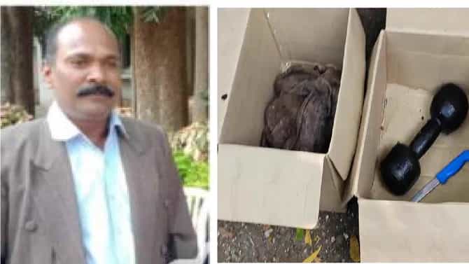 डॉ. राजन शिंदेंचं नेमकं काय झालं? एका रक्तांकित खुनाचा चक्रावून टाकणारा घटनाक्रम, घराला आरसा दाखवणारी घटना, वाचा सविस्तर