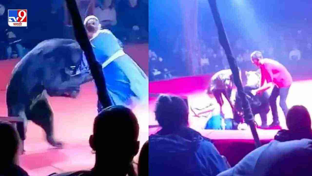 Video: गर्भवती महिला ट्रेनरवर अस्वलाचा हल्ला, जमिनीवर पाडून नखांचे ओरखडे, हादरवून सोडणारा व्हिडीओ