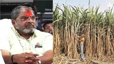 12 तास वीज, 15% व्याजासह एफआरपी देण्याची मागणी, यंदाच्या ऊस परिषदेत नेमके कोणते ठराव मंजूर ?