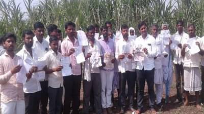 बोंबला...! विमा अर्जांचे गठ्ठे थेट ऊसाच्या फडात, मदत मिळणार तरी कशी ?