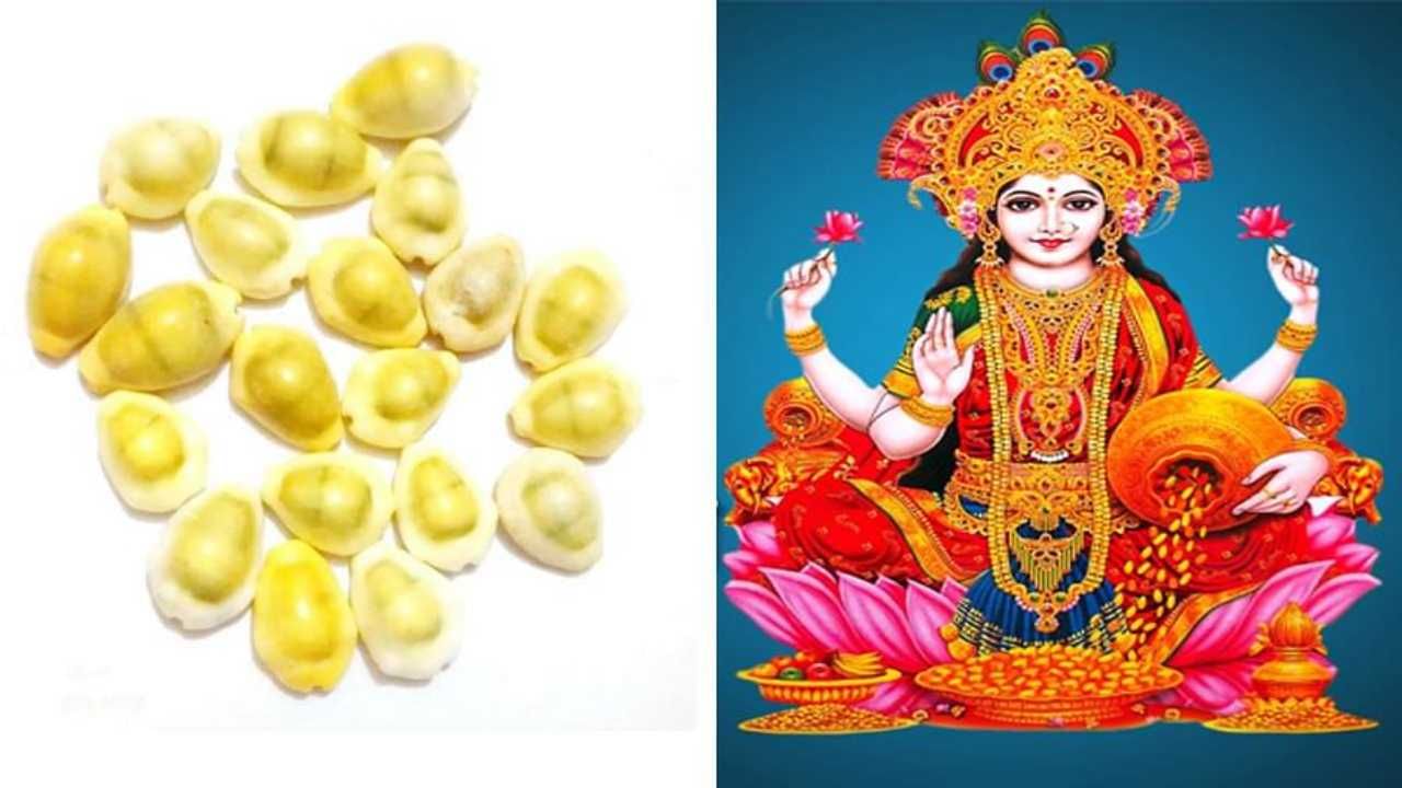 Kaudi Upay | देवी लक्ष्मीचा आशीर्वाद मिळवायचा असेल तर या दिवाळीला कवडीचे हे महाउपाय नक्की करा Kaudi Upay | देवी लक्ष्मीचा आशीर्वाद मिळवायचा असेल तर या दिवाळीला कवडीचे हे महाउपाय नक्की करा