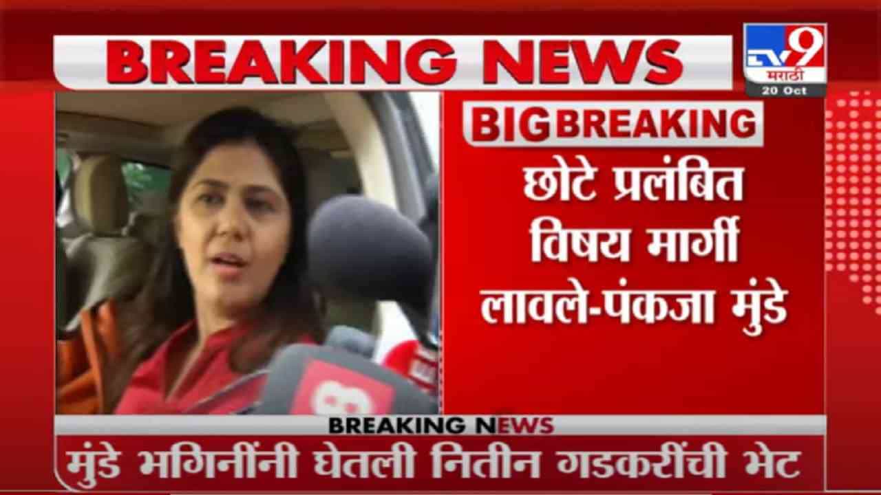 VIDEO : Pankaja Munde | बीडमधील विकासकामांच्या प्रश्नांबाबत नितीन गडकरींना भेटले - पंकजा मुंडे