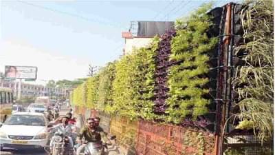 स्मार्ट औरंगाबादेत बहरले व्हर्टिकल गार्डन, सिद्धार्थ उद्यानाजवळचा उभा बगीचा ठरतोय आकर्षणाचे केंद्र