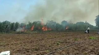 कापूस विका पण गरजेपुरता अन् उरलेल्या कापसाचे ‘सोनं’ करा, शेतकऱ्यांना लाखमोलाचा सल्ला