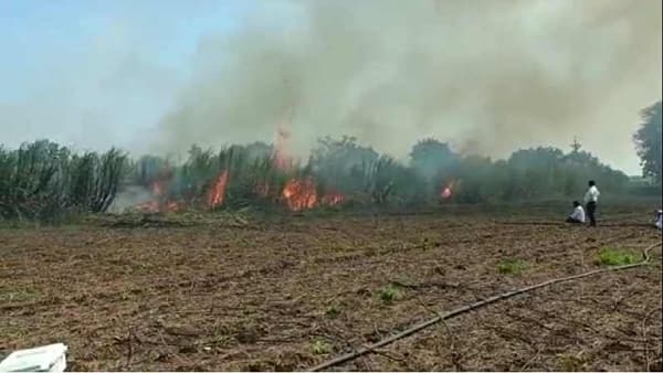 दुष्काळात तेरावा : शॉर्टसर्किटने 10 एकरातील ऊसाचा फड जळून खाक ; लाखोंचे नुकसान