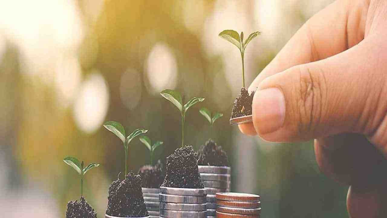 Planning to invest money in FD these things you must know before opening Fixed Deposits